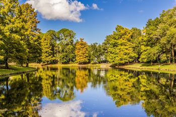 Lake side at St. Johns Forest Apartments, Jacksonville